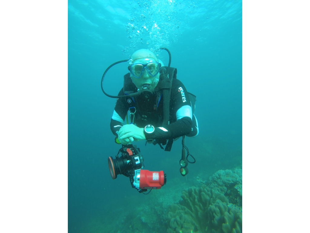 PN121533_x PN121533_x